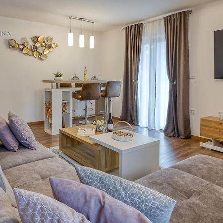Apartment Nina Pazin Esterno foto