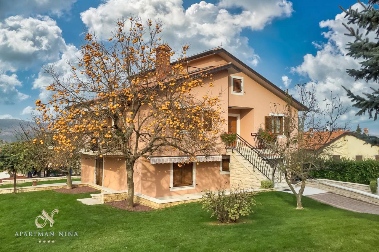 Apartment Nina Pazin Esterno foto